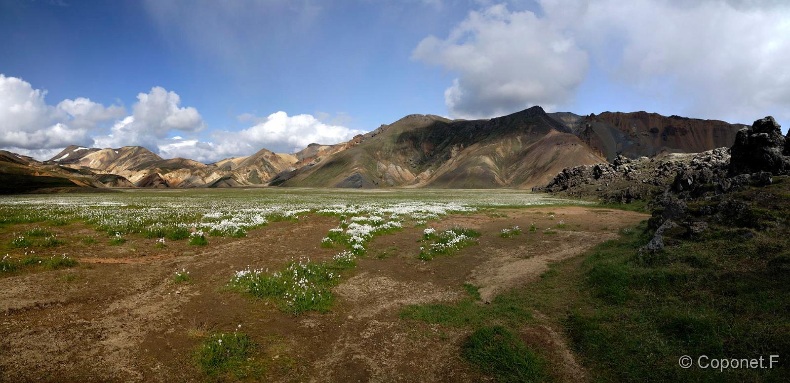 027 Islande 2009.jpg - Landmannalaugar